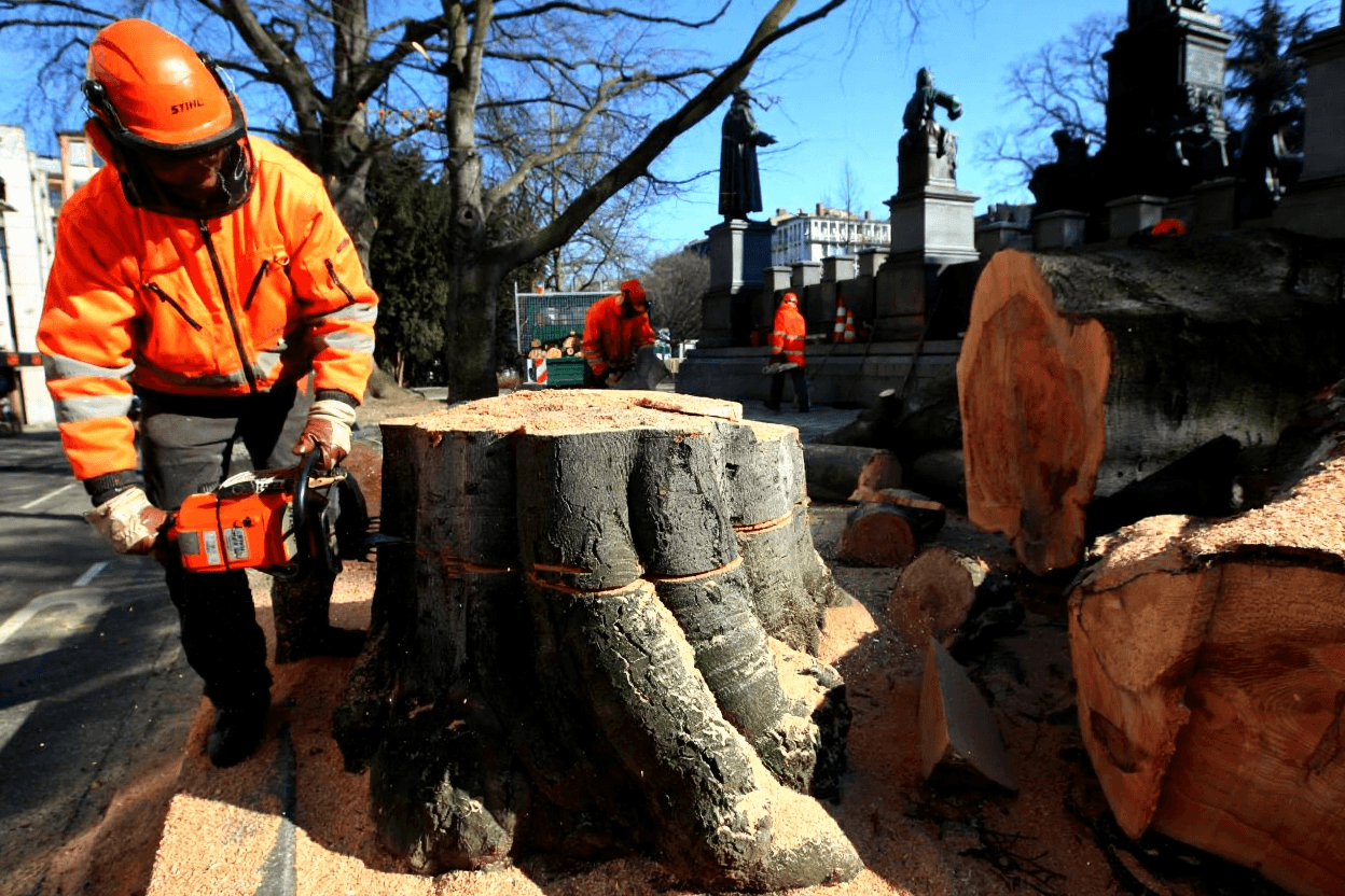 J. Underhill Excavation Tree Removal and Woodchipping